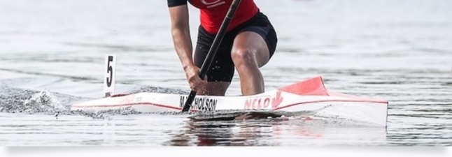 Change.org Petition:  Nearly 6800 Signatures and 1300 Comments